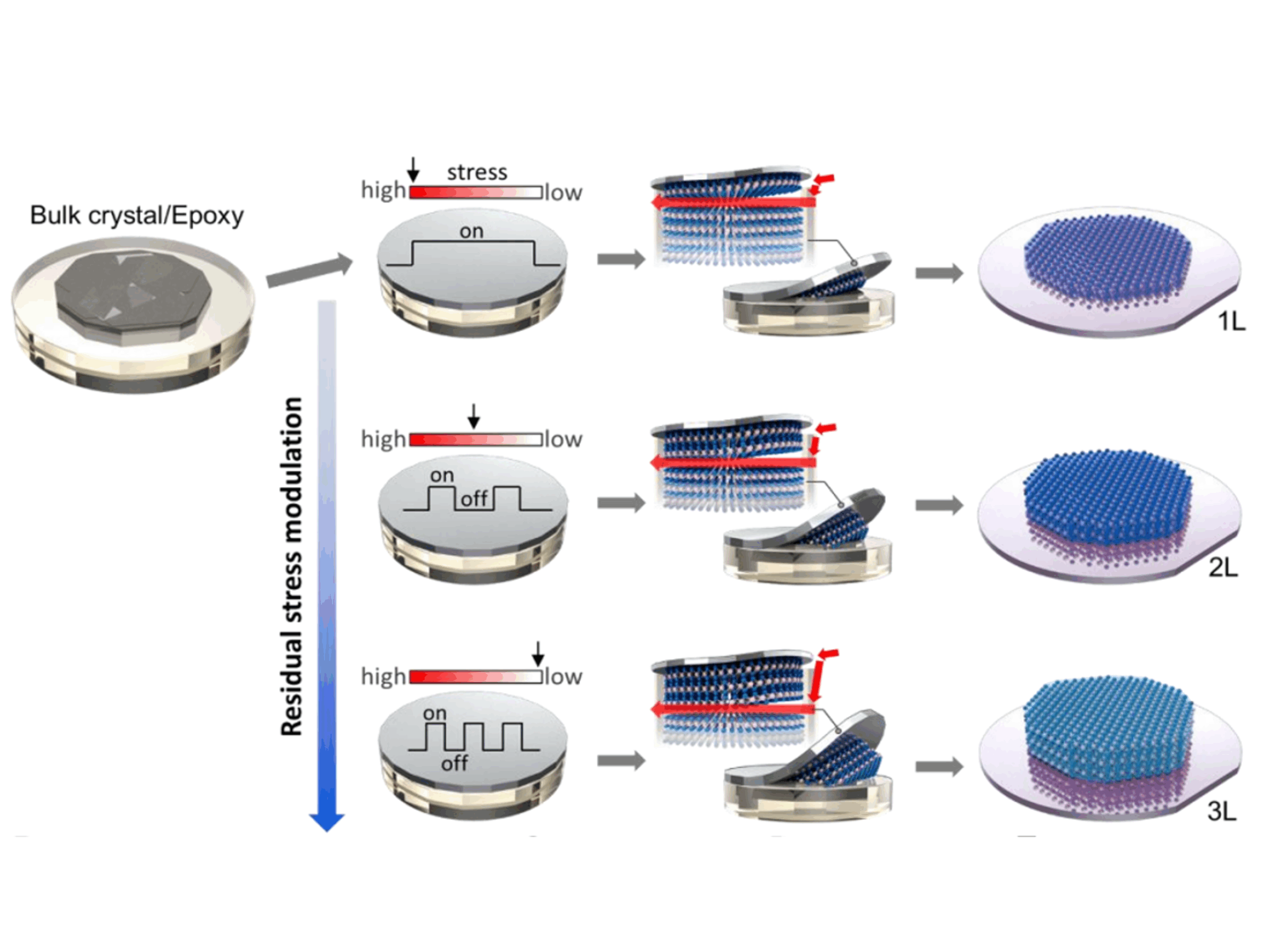 Our work published in Science Advances